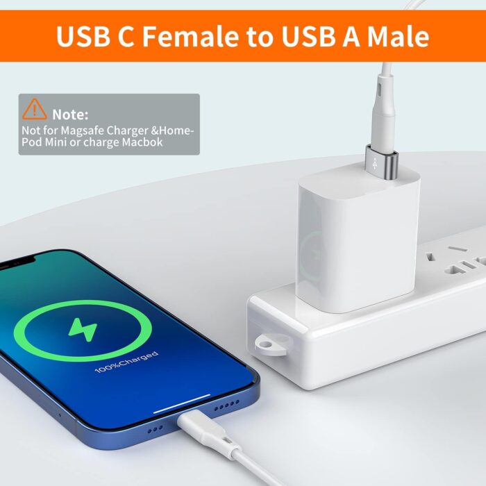 USB C Female to USB Male Converter - Image 4